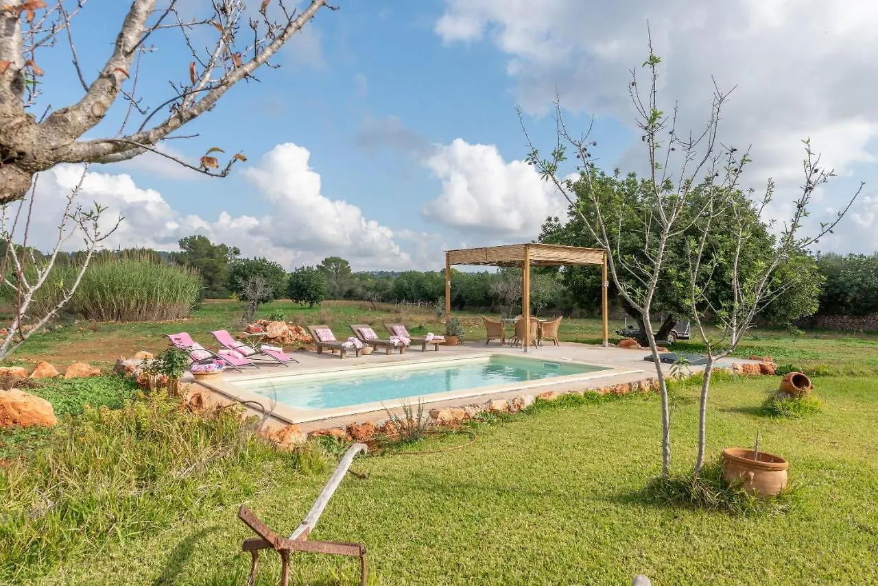 Son Draguet Villa Porreres